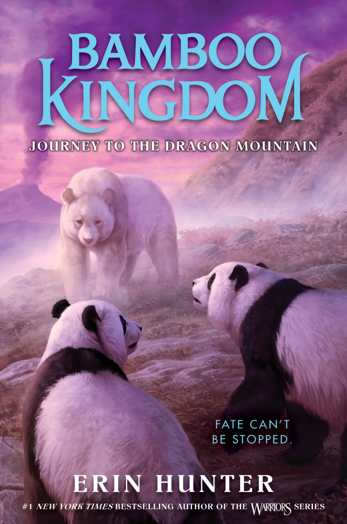 Journey To The Dragon Mountain Bamboo Kingdom 3 1st Erin Hunter