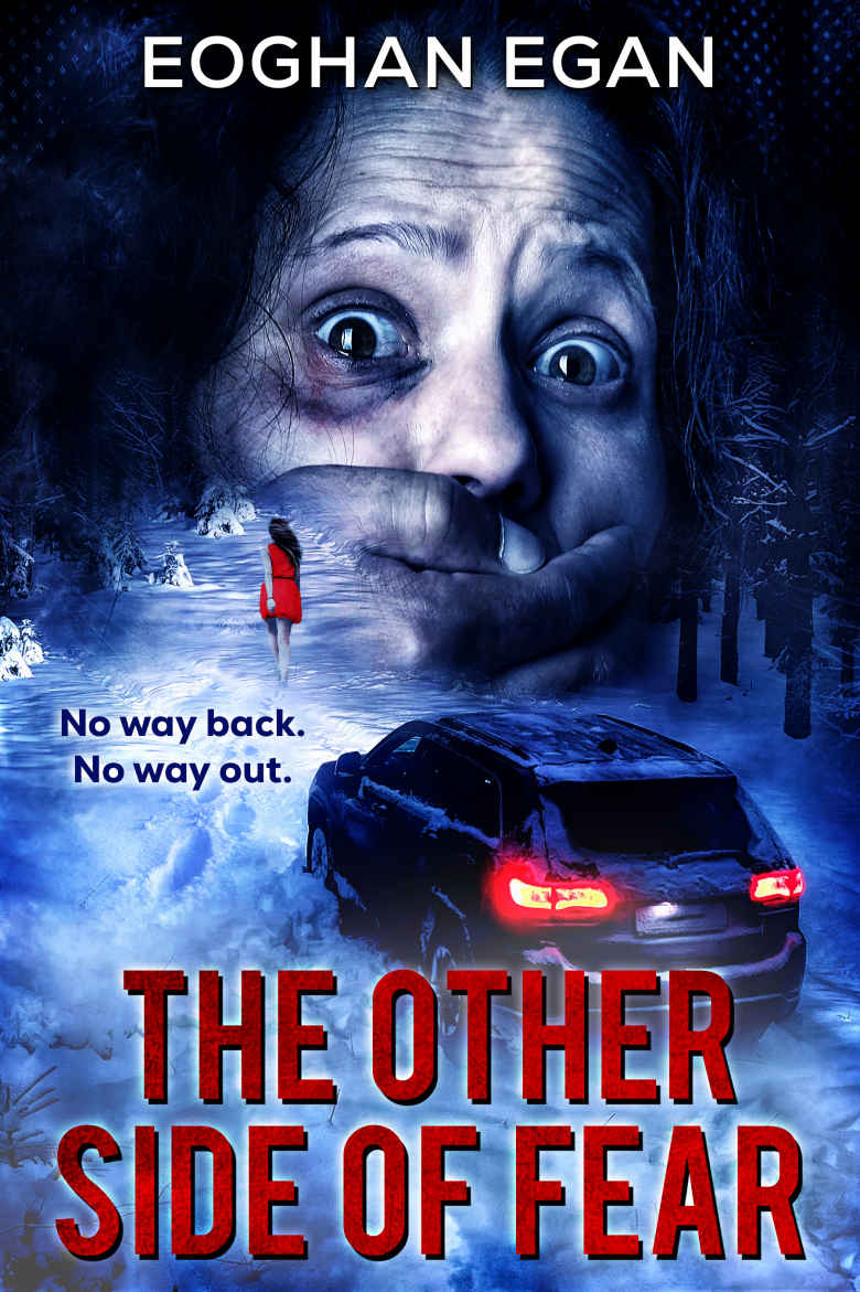 The Other Side Of Fear Ganestown Crime Series Book 2 Eoghan Egan