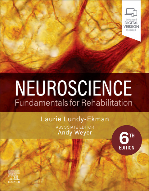 Neuroscience Fundamentals For Rehabilitation 6th Edition Laurie Lundyekman