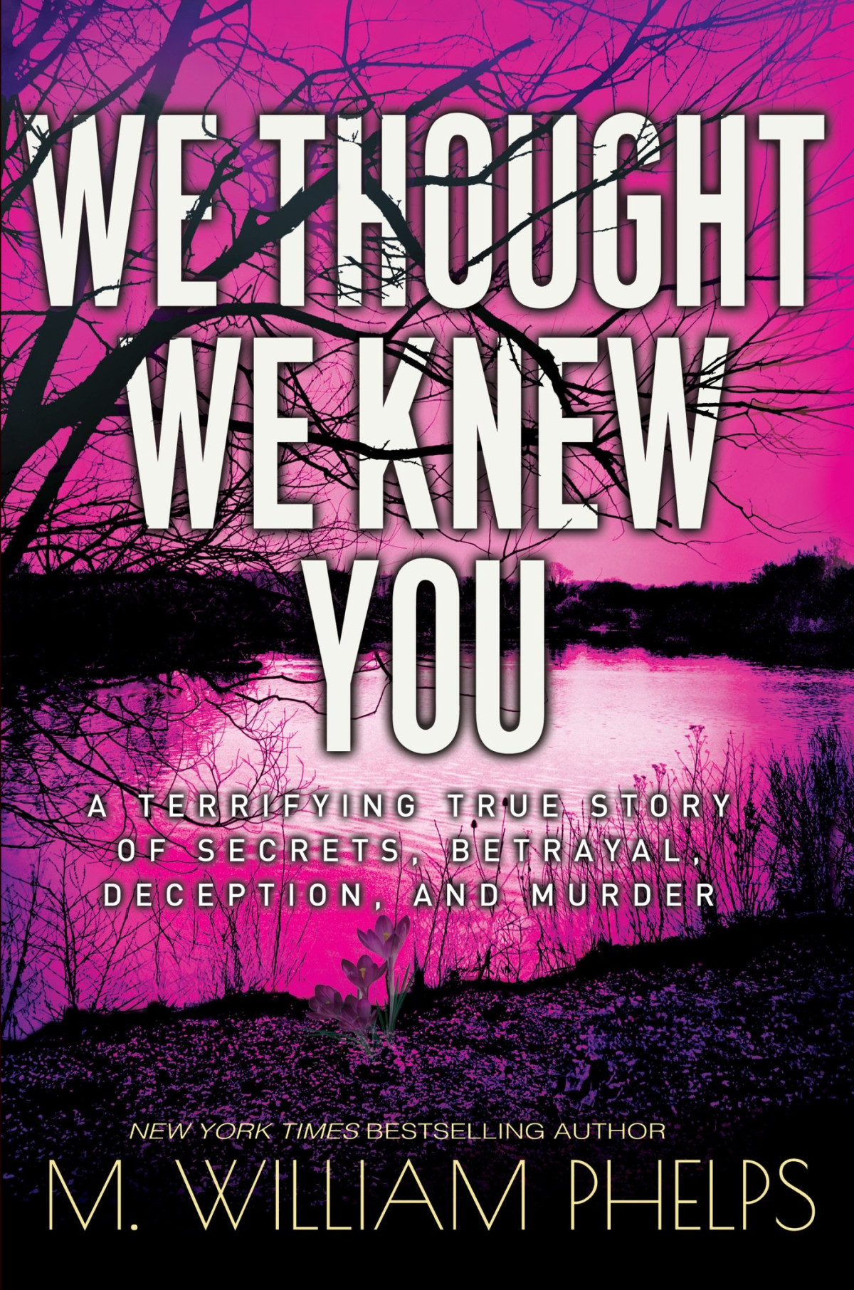 We Thought We Knew You M William Phelps