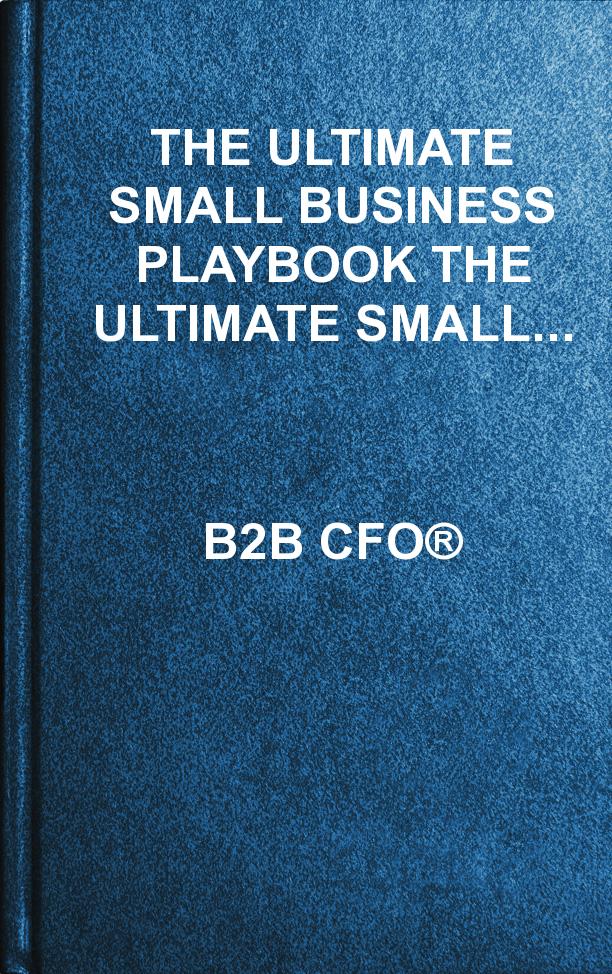 The Ultimate Small Business Playbook The Ultimate Small Business Playbook B2b Cfo