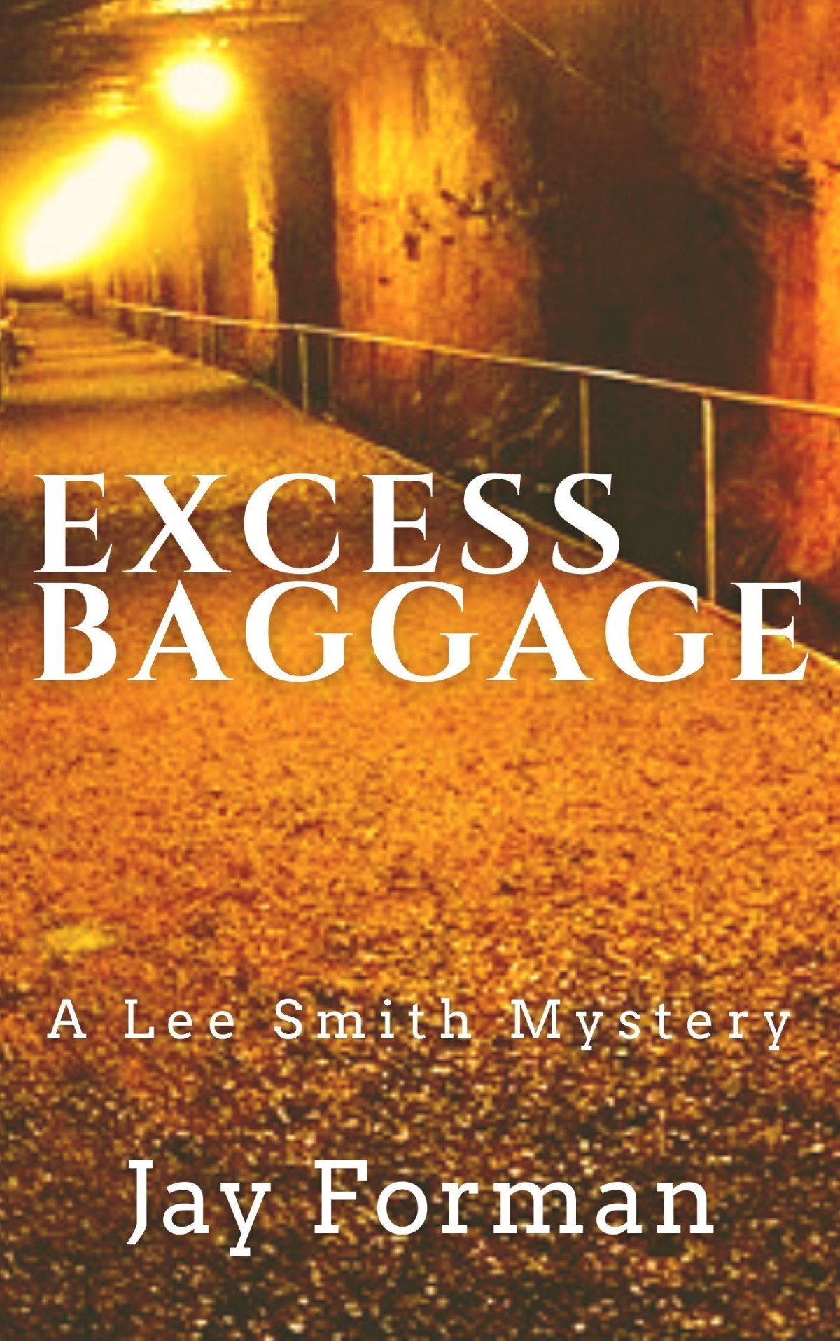 Excess Baggage A Lee Smith Mystery Forman Jay