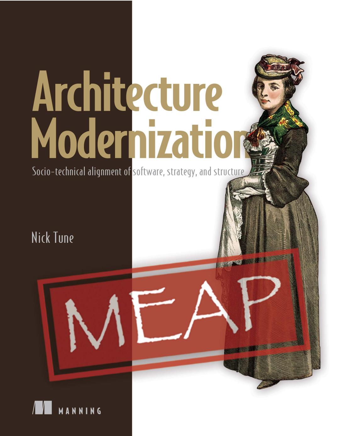 Architecture Modernization Sociotechnical Alignment Of Software Strategy And Structure Meap V04 Nick Tune