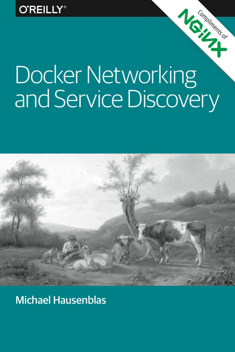 Docker Networking And Service Discovery Michael Hausenblas