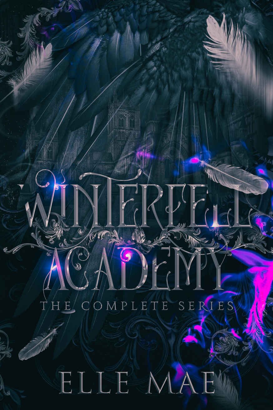 Winterfell Academy The Complete Series Elle Mae