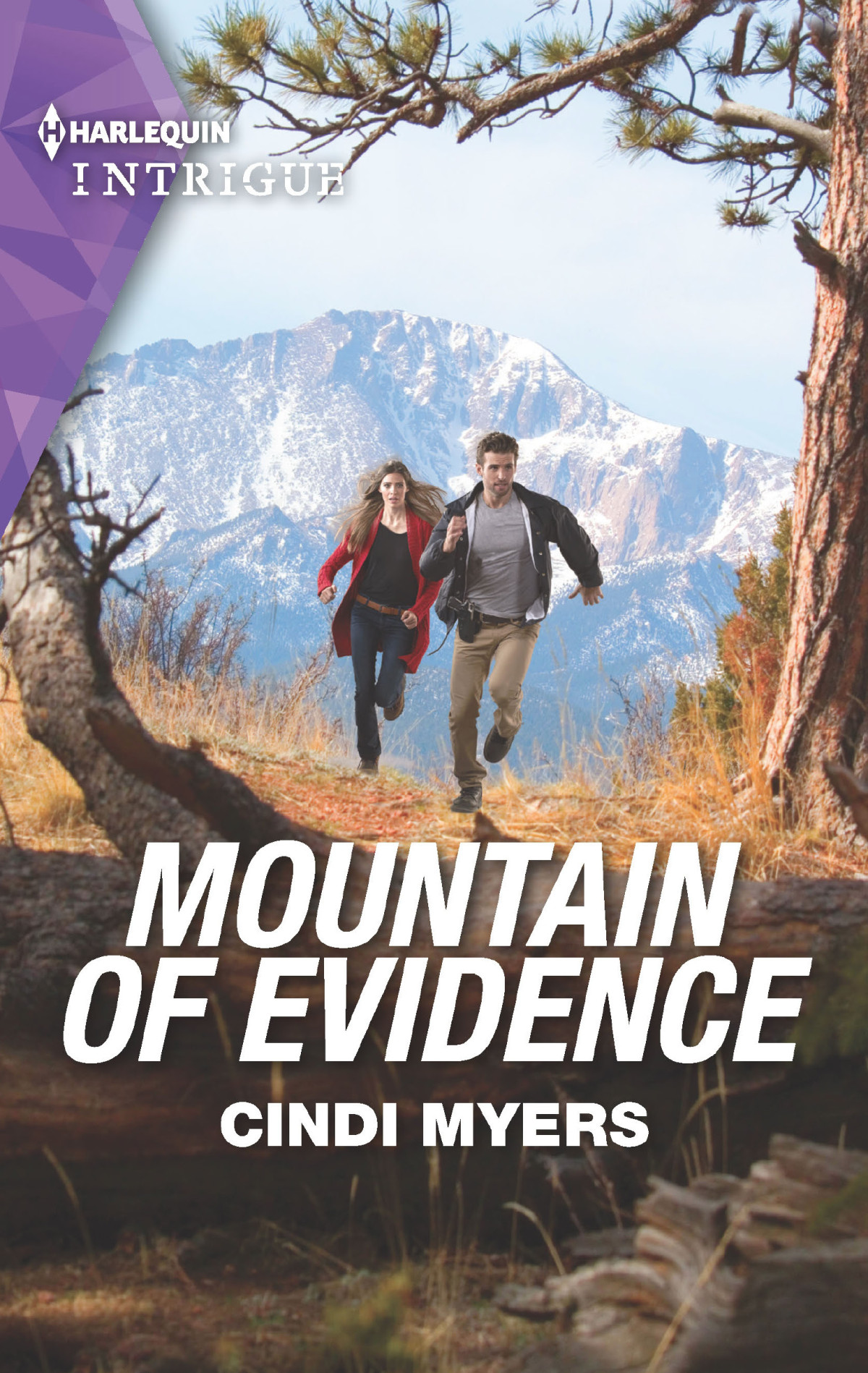 Mountain Of Evidence Cindi Myers