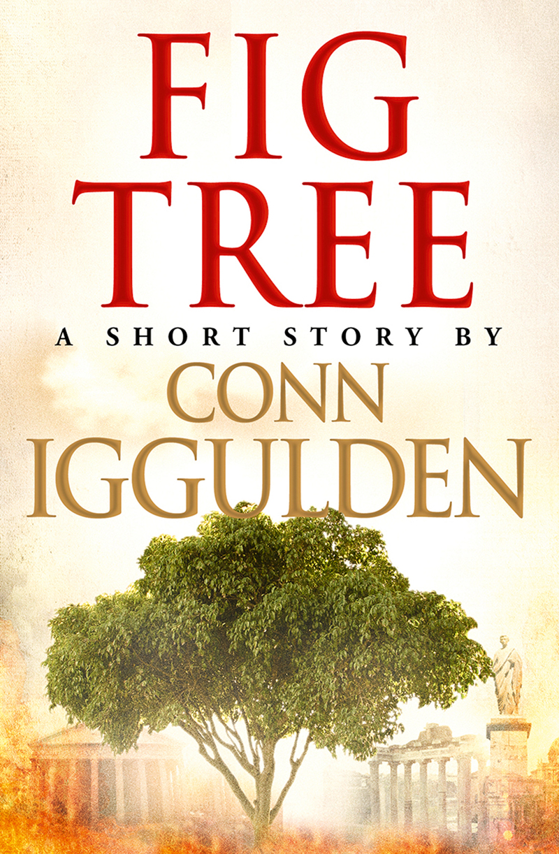 Fig Tree Conn Iggulden