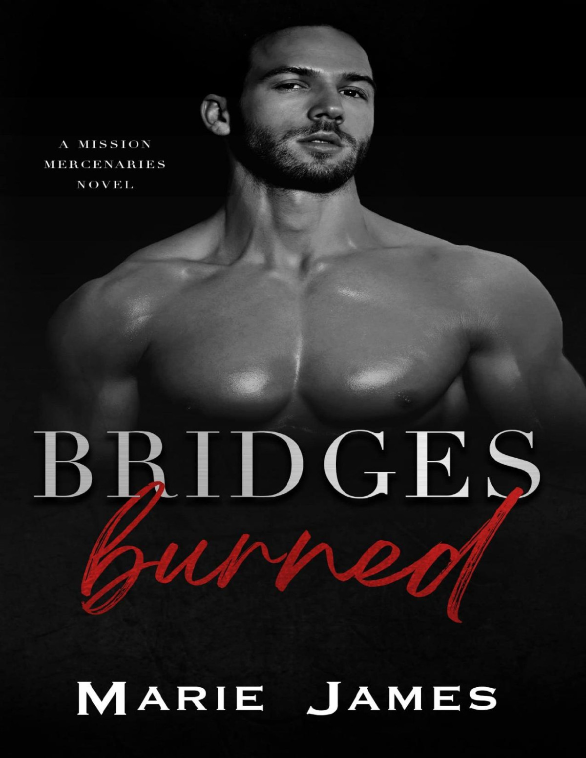 Bridges Burned Mission Mercenaries Book 3 Marie James