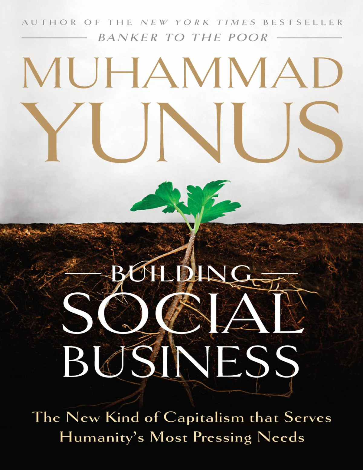 Building Social Business Muhammad Yunus