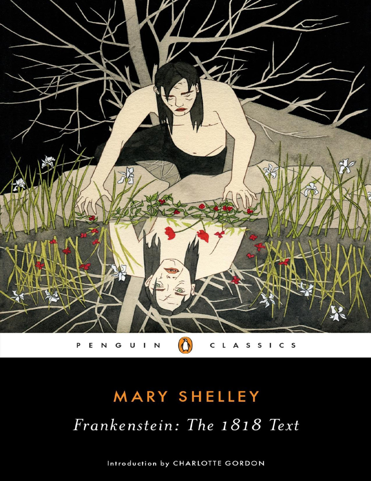 Frankensteinthe 1818 Text Mary Shelley