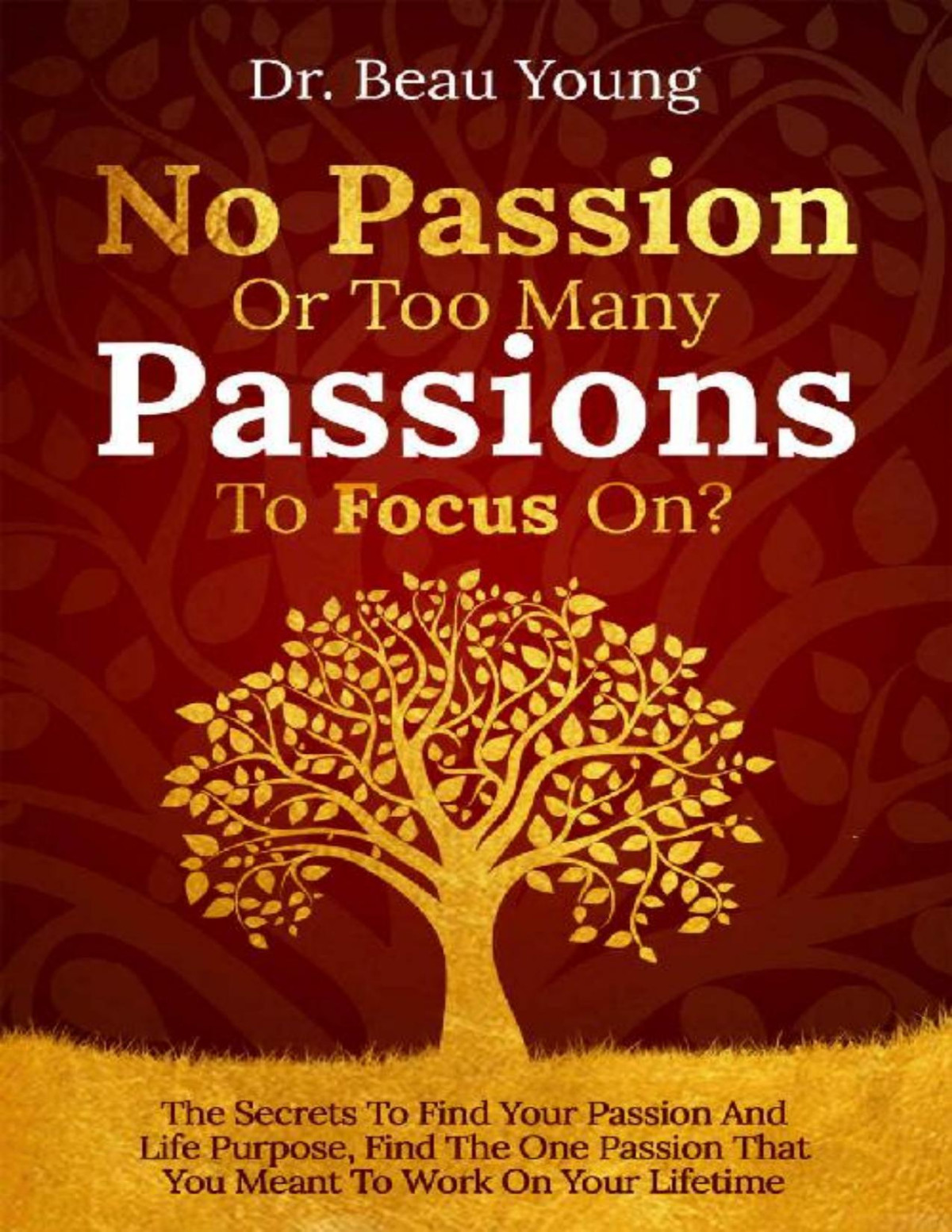 No Passion Or Too Many Passions To Focus On The Secrets To Find Your Passion And Life Purpose Find The One Passion That You Meant To Work On Your Lifetime Beau Young
