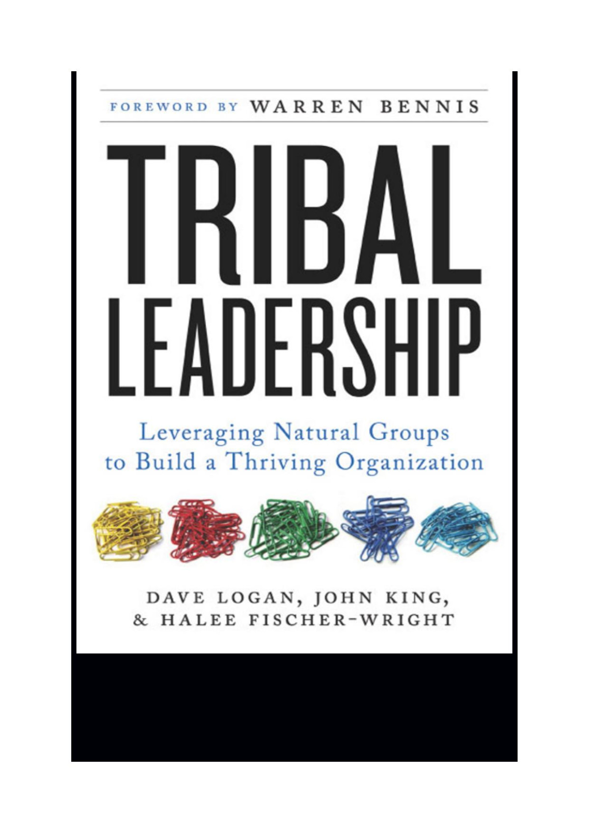 Tribal Leadership Dave Logan