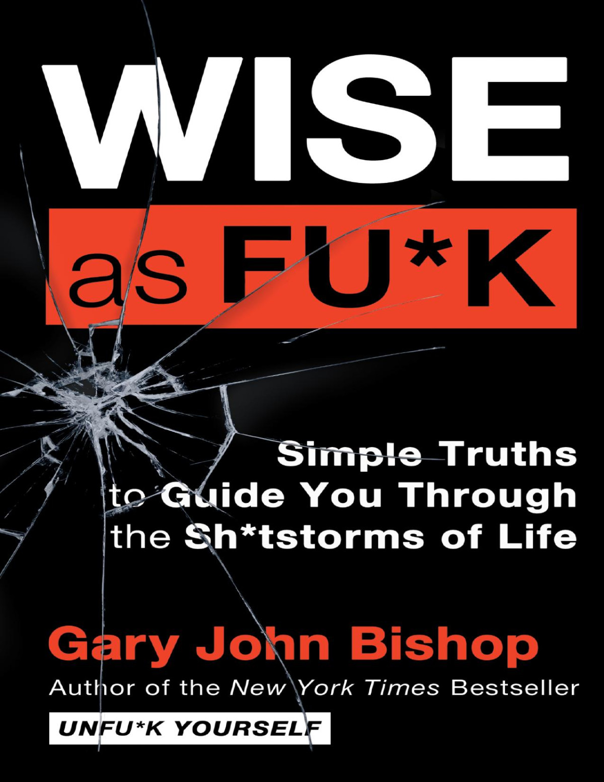 Wise As Fuk Simple Truths To Guide You Through The Shtstorms Of Life Unfuk Yourself Series English Edition Gary John Bishop