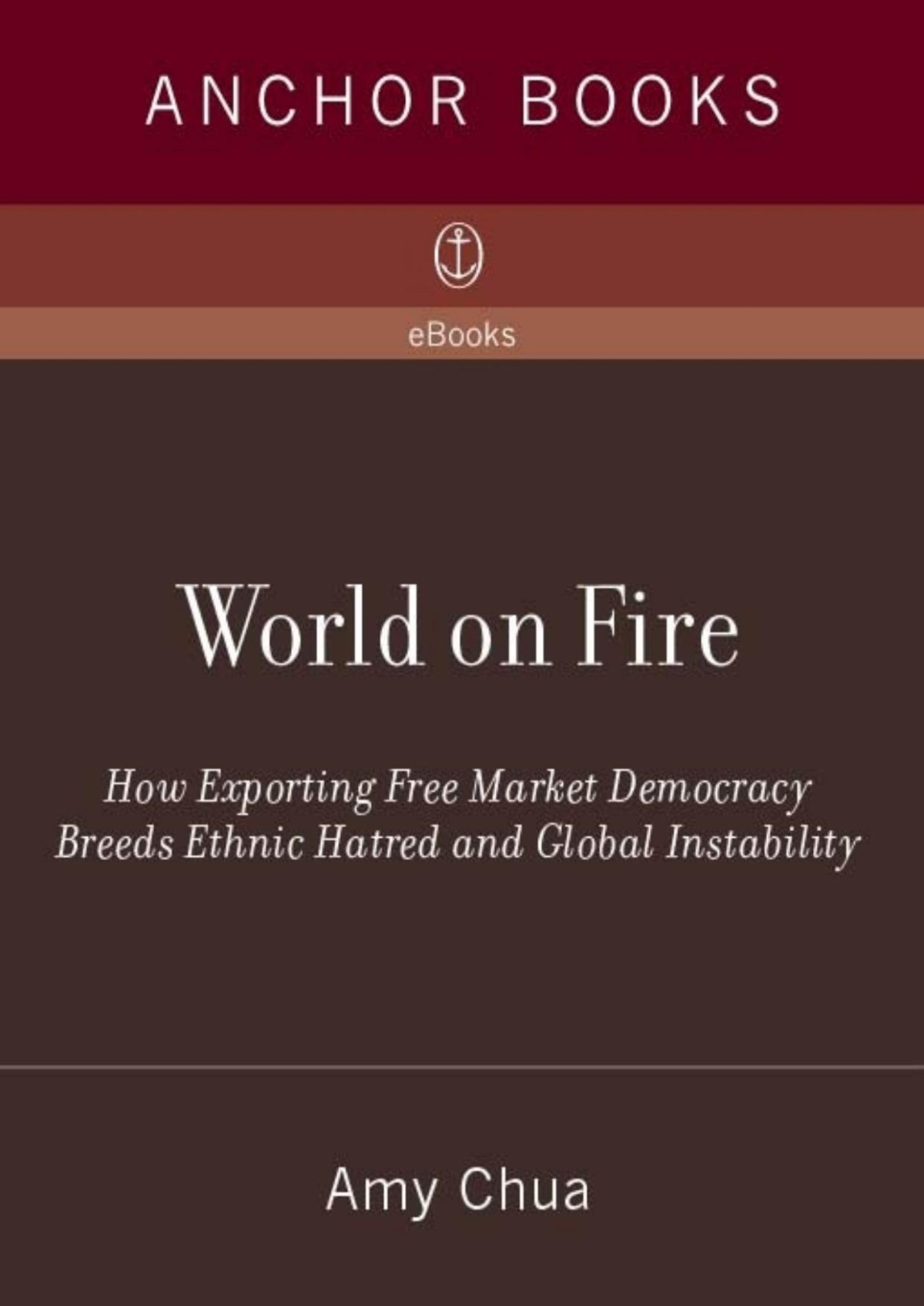 World On Fire Amy Chua