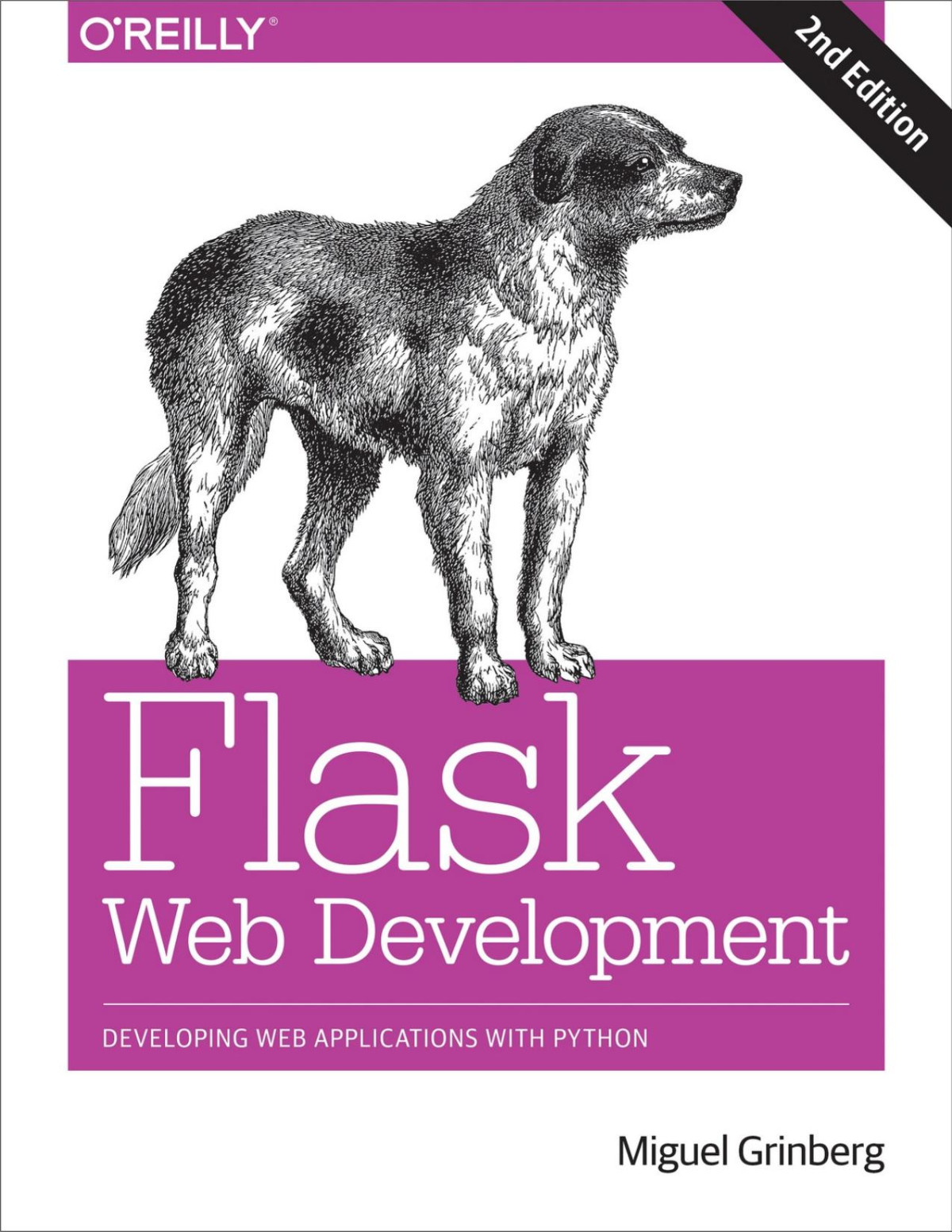 Flask Web Development Developing Web Applications With Python Miguel Grinberg
