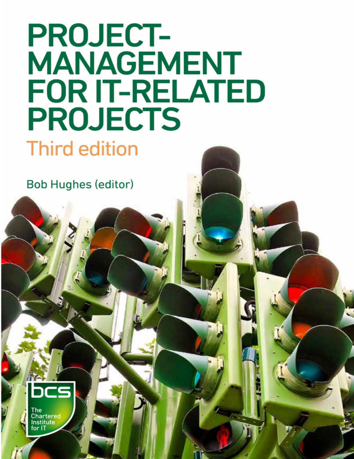 Project Management For Itrelated Projects 3rd Ed 3rd Bob Hughes Ed