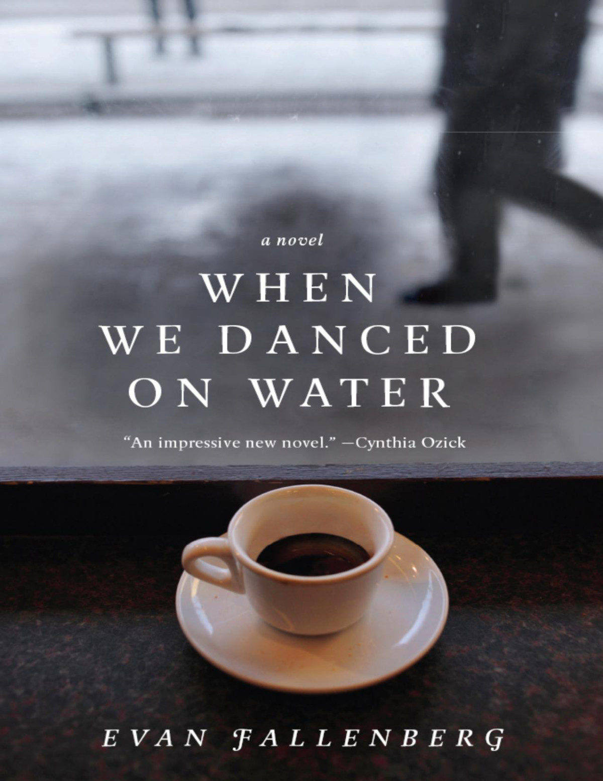 When We Danced On Water Evan Fallenberg