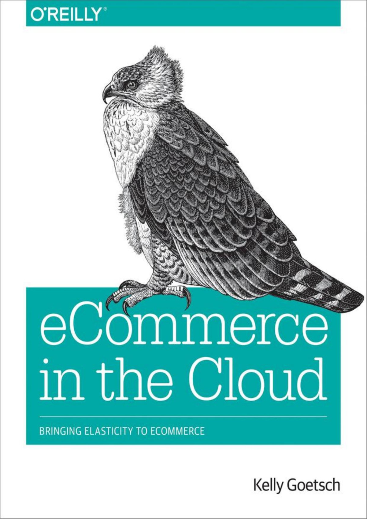 Ecommerce In The Cloud Kelly Goetsch