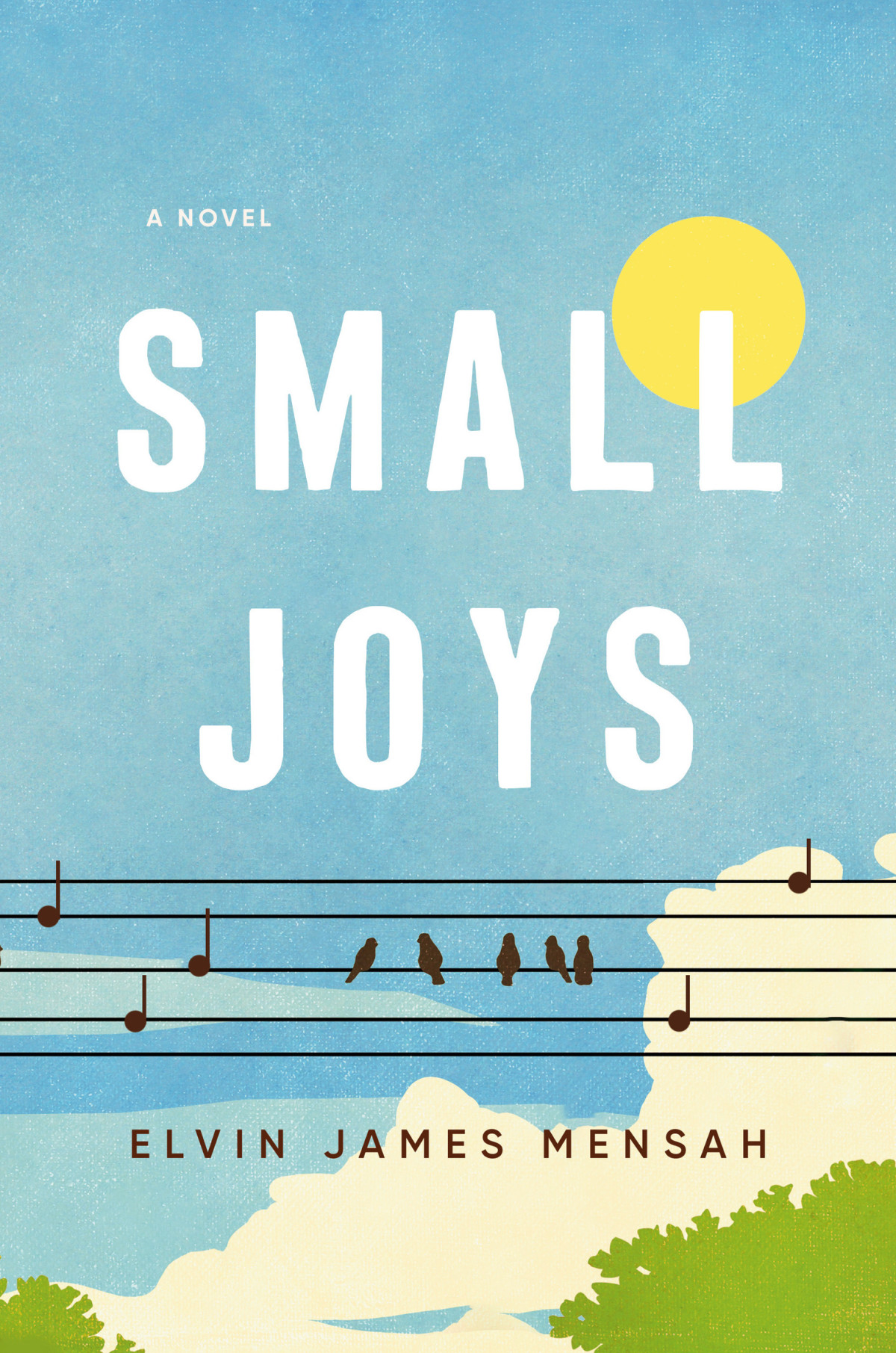 Small Joys 1st Edition Elvin James Mensah