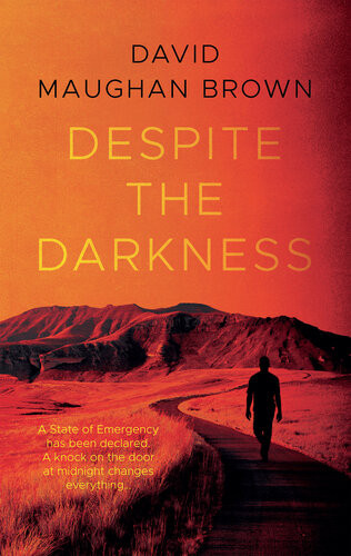 Despite The Darkness David Maughan Brown