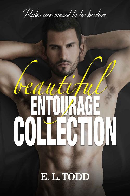Beautiful Entourage Collection Full Boxed Set E L Todd