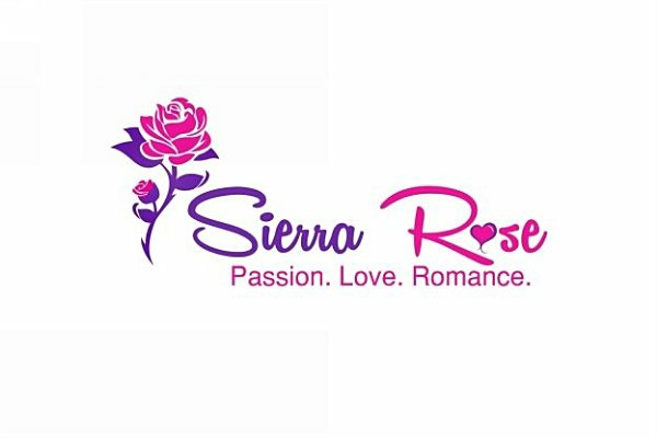 Accidentally Married To The Billionaire Box Set Sierra Rose