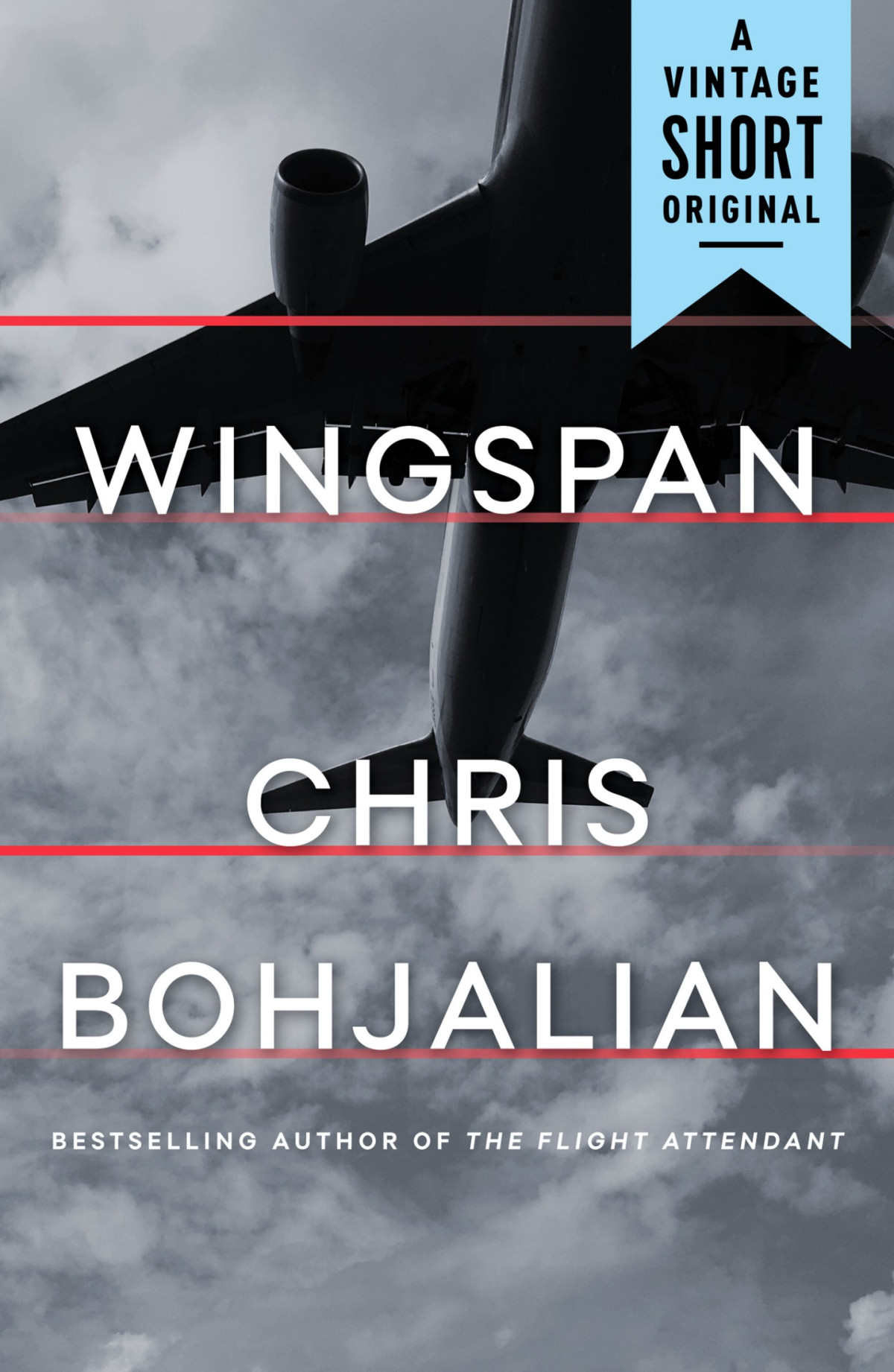 Wingspan Chris Bohjalian