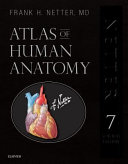 Atlas Of Human Anatomy 7th Edition Frank H Netter