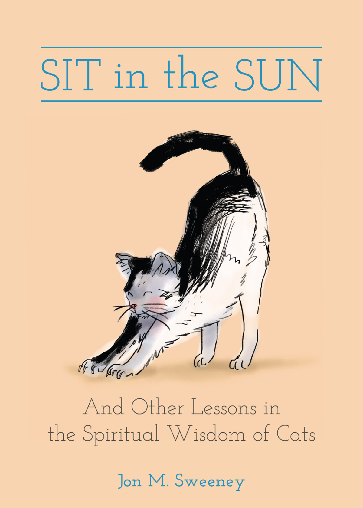 Sit In The Sun And Other Lessons In The Spiritual Wisdom Of Cats Jon M Sweeney