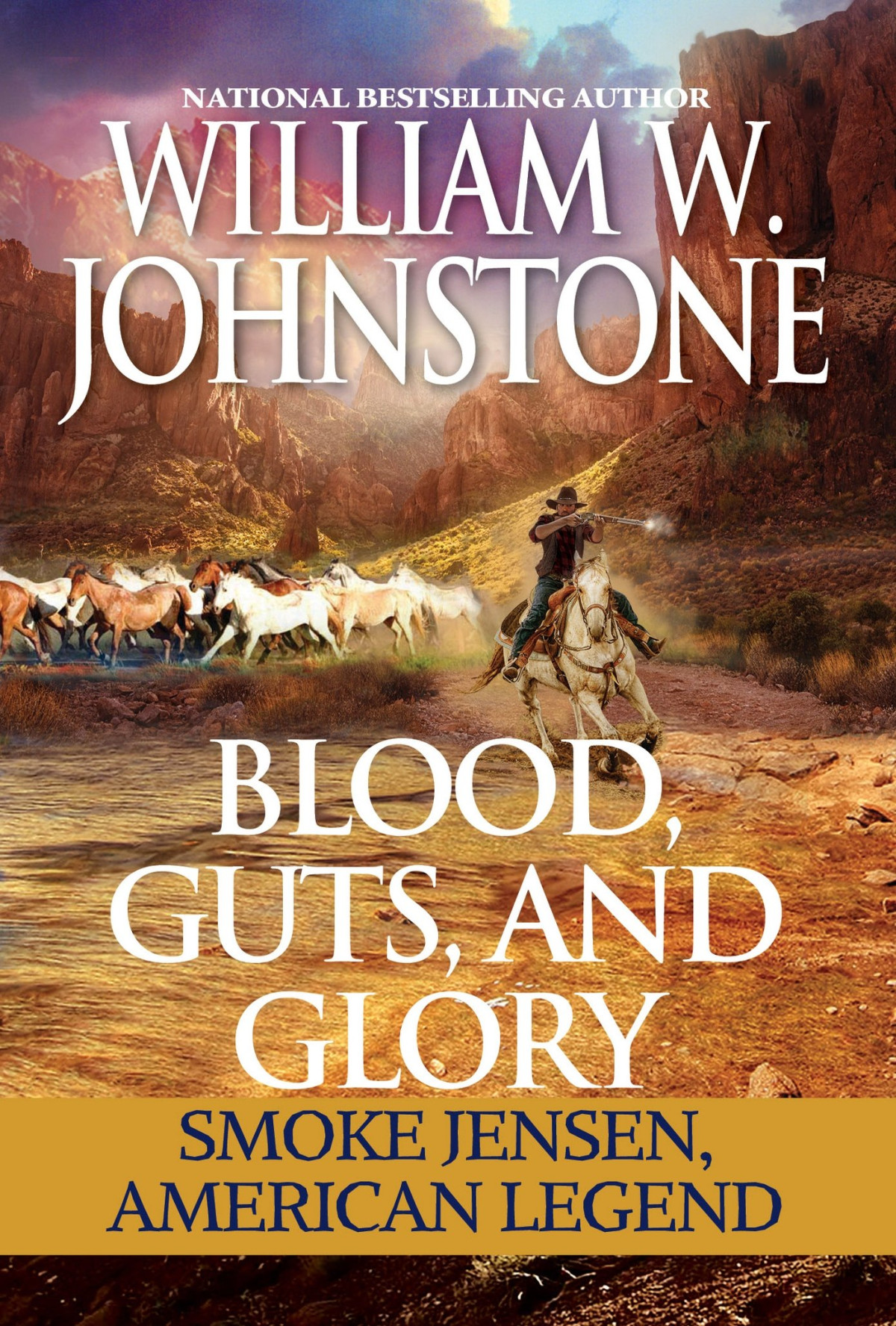Blood Guts And Glory William W Johnstone