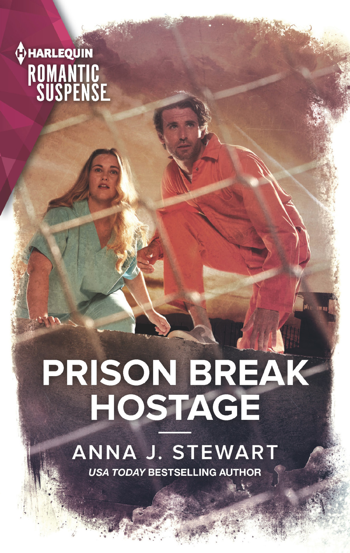 Prison Break Hostage Anna J Stewart