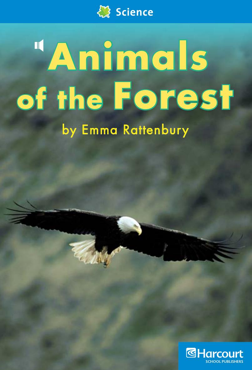 Animals Of The Forest Emma Rattenbury