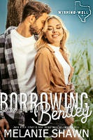 Sex On The Beach Southern Comfort Book 2 Melanie Shawn