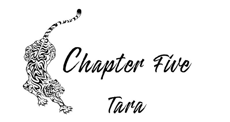 Tiger Tears A Zodiac Shifters Paranormal Romance Taurus Catherine Banks Zodiac Shifters