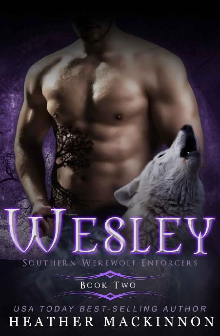 Wesley Southern Werewolf Enforcers Book 2 Heather Mackinnon
