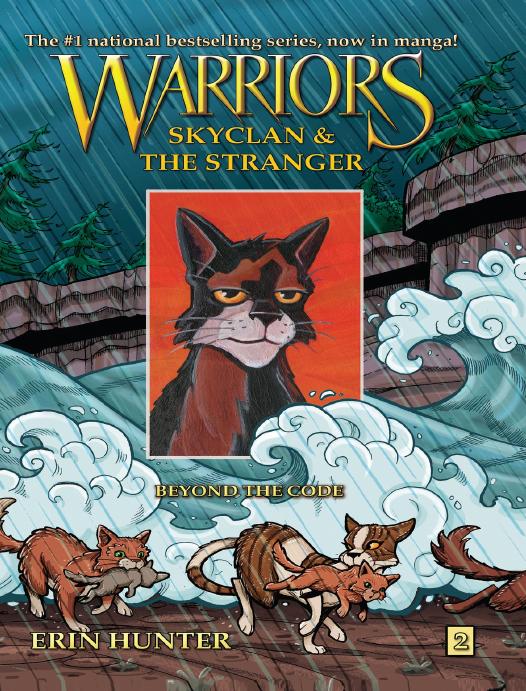 Beyond The Code Erin Hunter