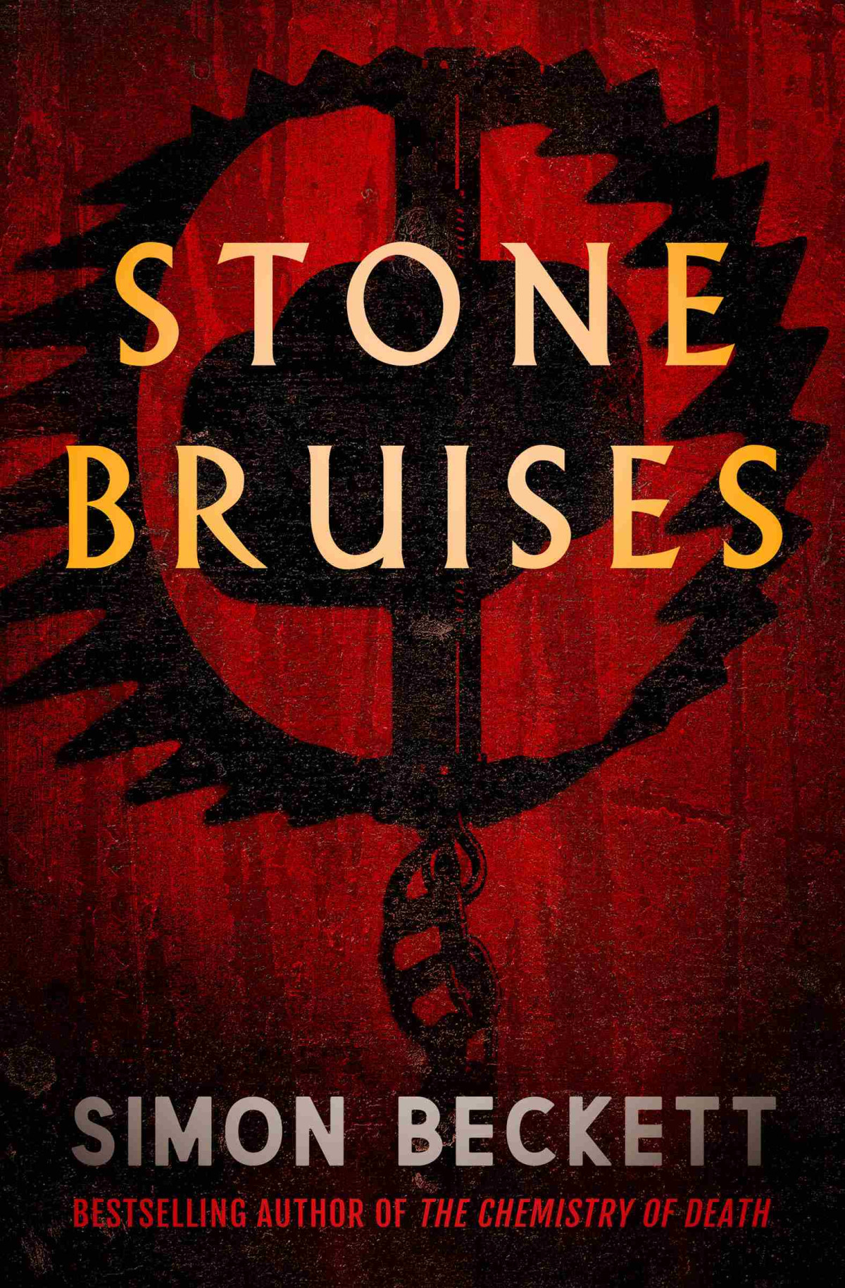 Stone Bruises Simon Beckett