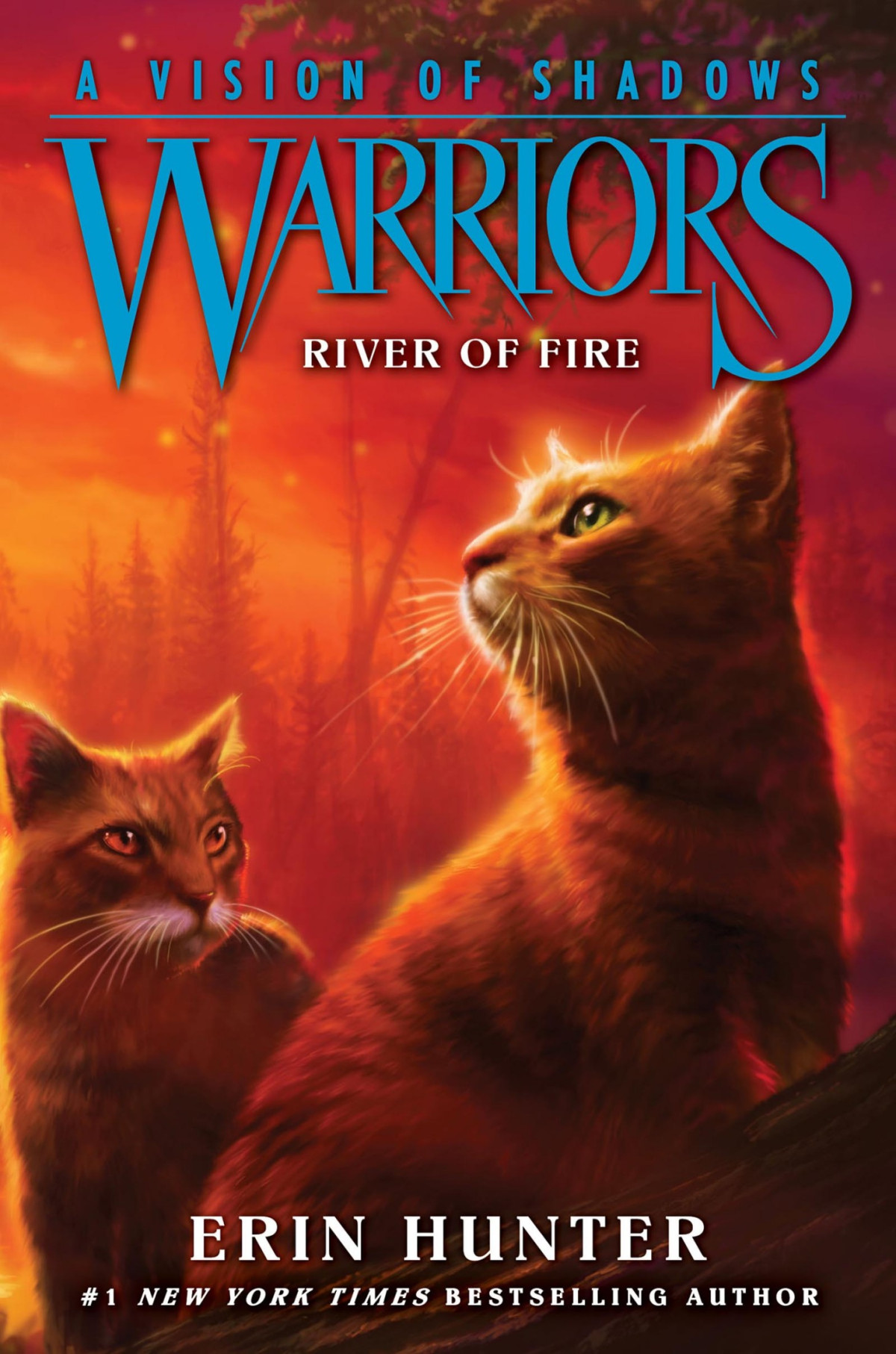 Warriors A Vision Of Shadows 5 River Of Fire Erin Hunter