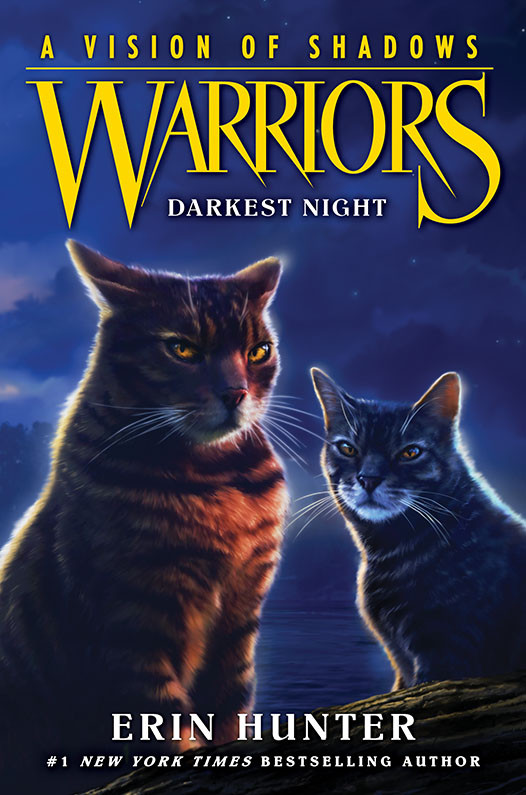 Warriors A Vision Of Shadows 4 Darkest Night Erin Hunter
