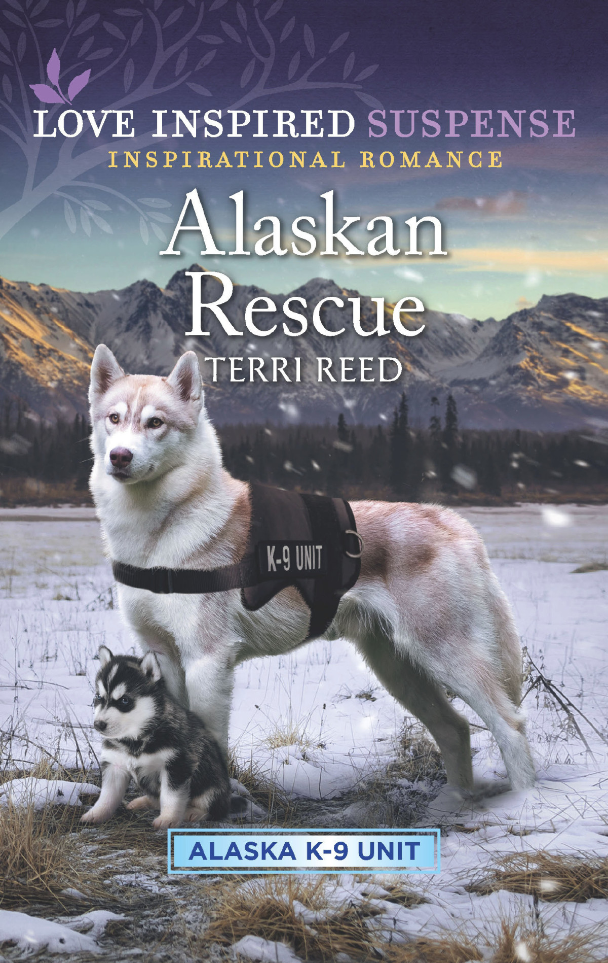 Alaskan Rescue Terri Reed