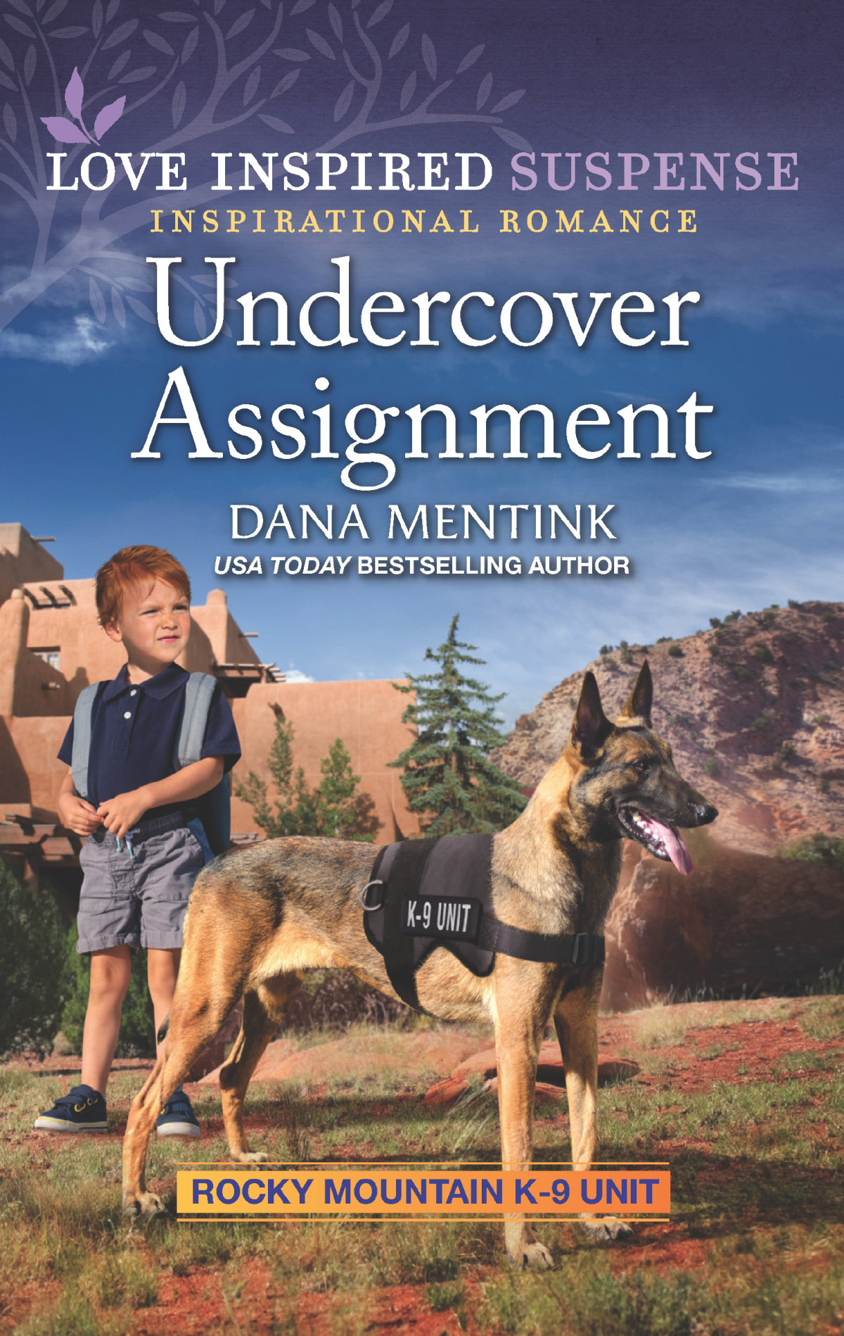 Undercover Assignment Dana Mentink