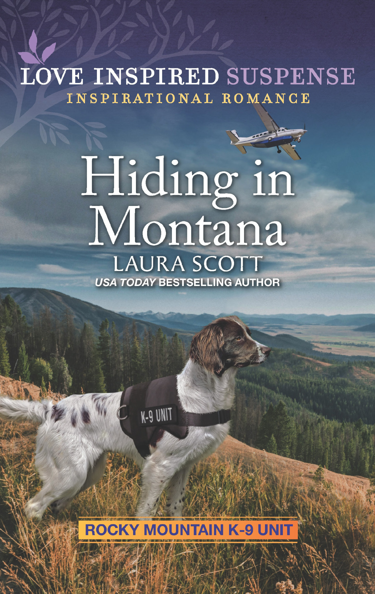 Hiding In Montana Laura Scott