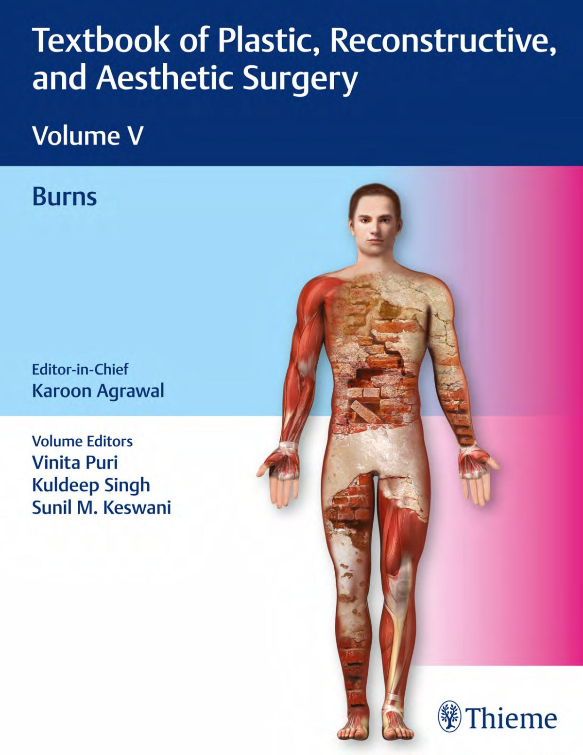 Textbook Of Plastic Reconstructive And Aesthetic Surgery Vol 5 Karoon Agrawal
