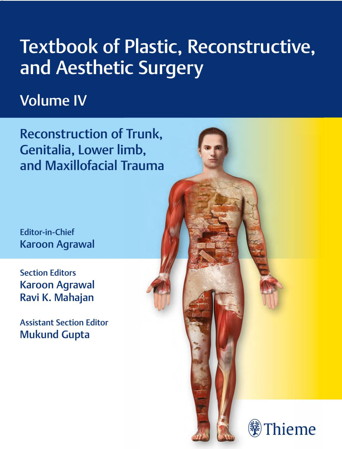 Textbook Of Plastic Reconstructive And Aesthetic Surgery Vol 4 1st Edition Karoon Agrawal