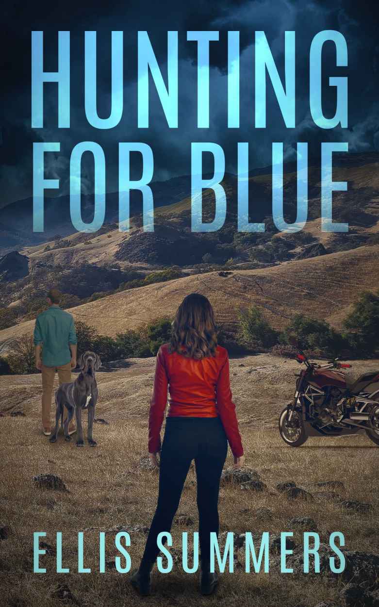 Hunting For Blue Ellis Summers