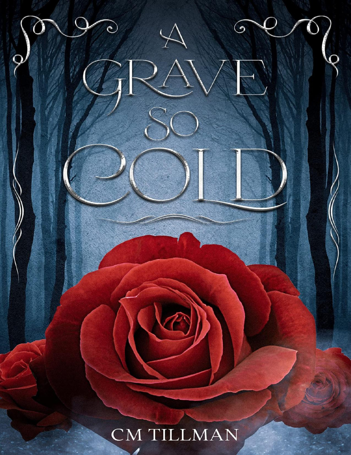 A Grave So Cold Cm Tillman
