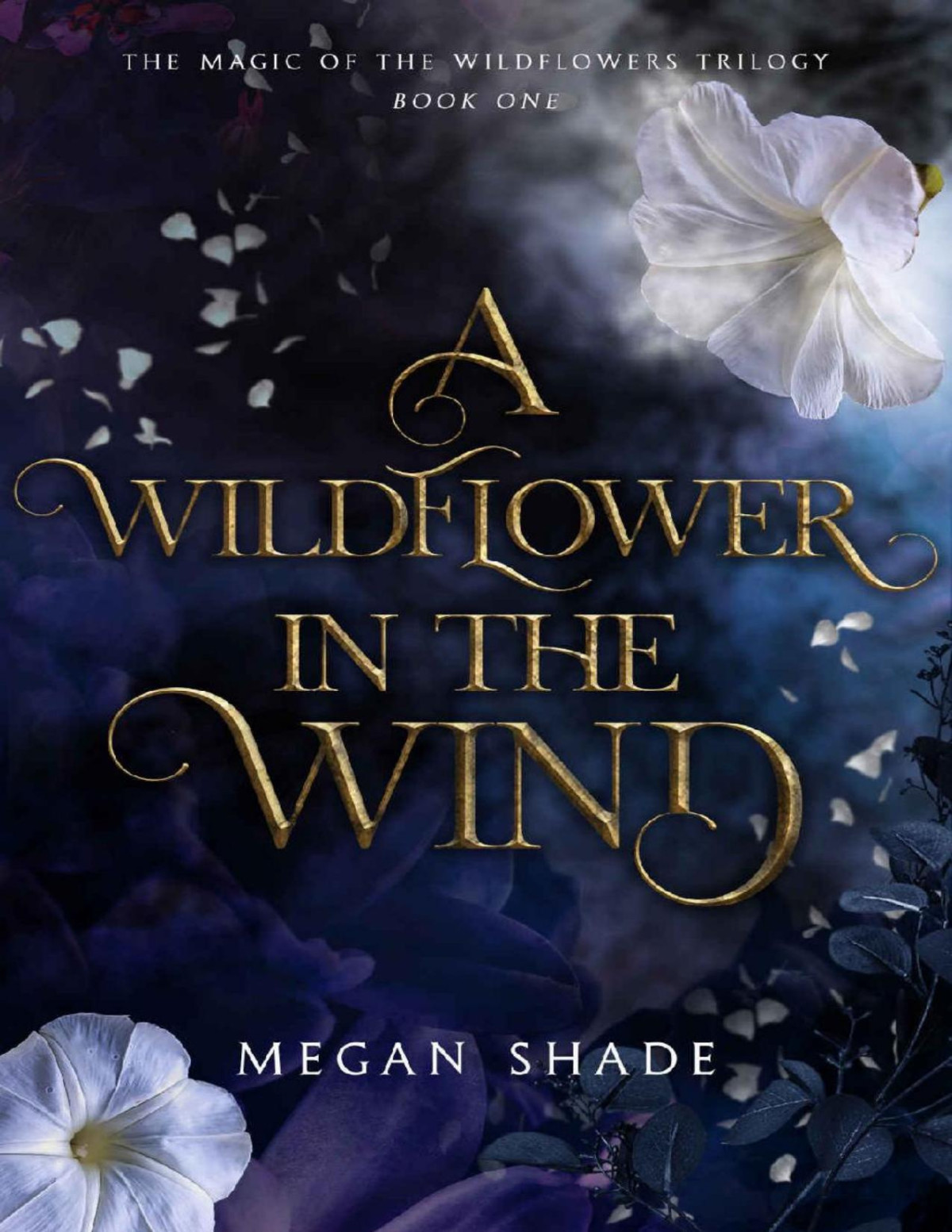 A Wildflower In The Wind Book One Of The Magic Of The Wildflowers Trilogy Megan Shade