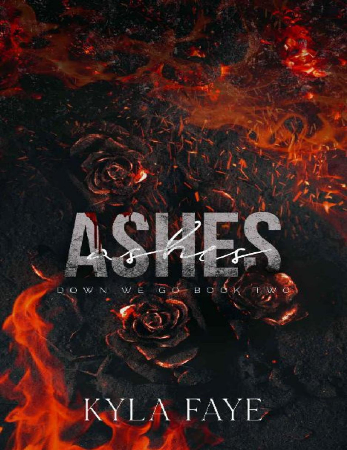 Ashes Down We Go Book 2 Kyla Faye
