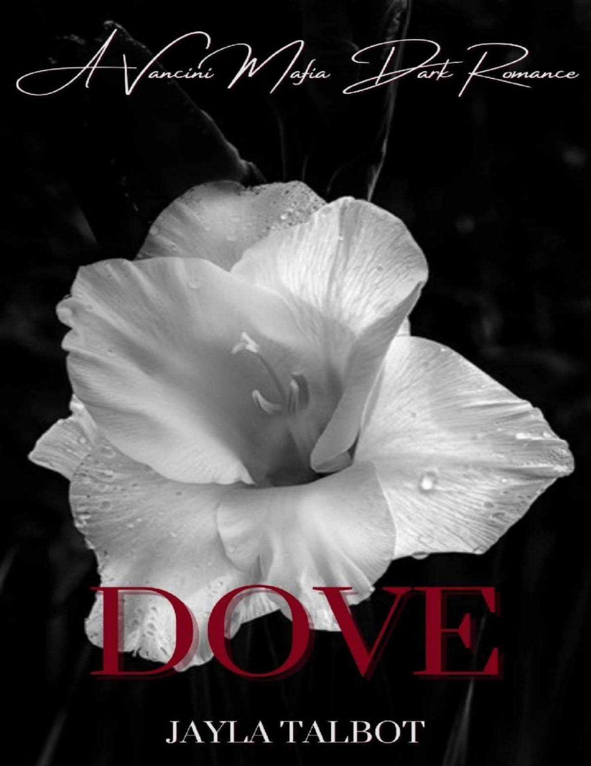 Dove A Vancini Mafia Dark Romance Vancini Mafia Series Book 2 Jayla Talbot