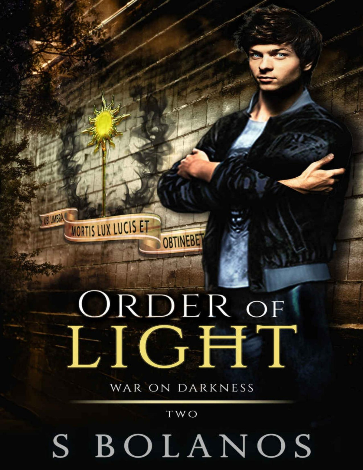 Order Of Light War On Darkness Book Two S Bolanos